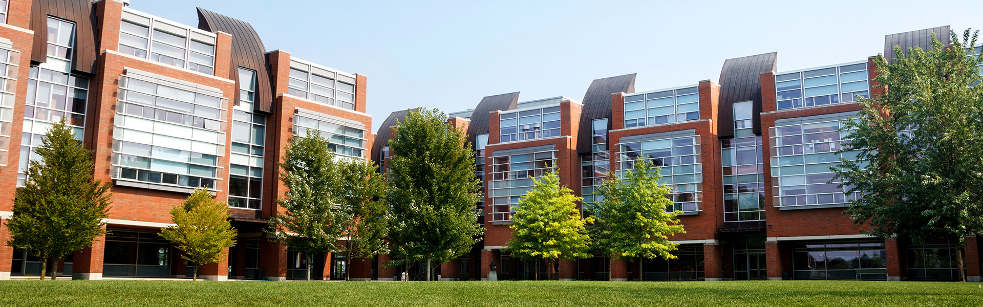 Polonsky Commons in the summer facing the Science, and Business and Information Technology buildings